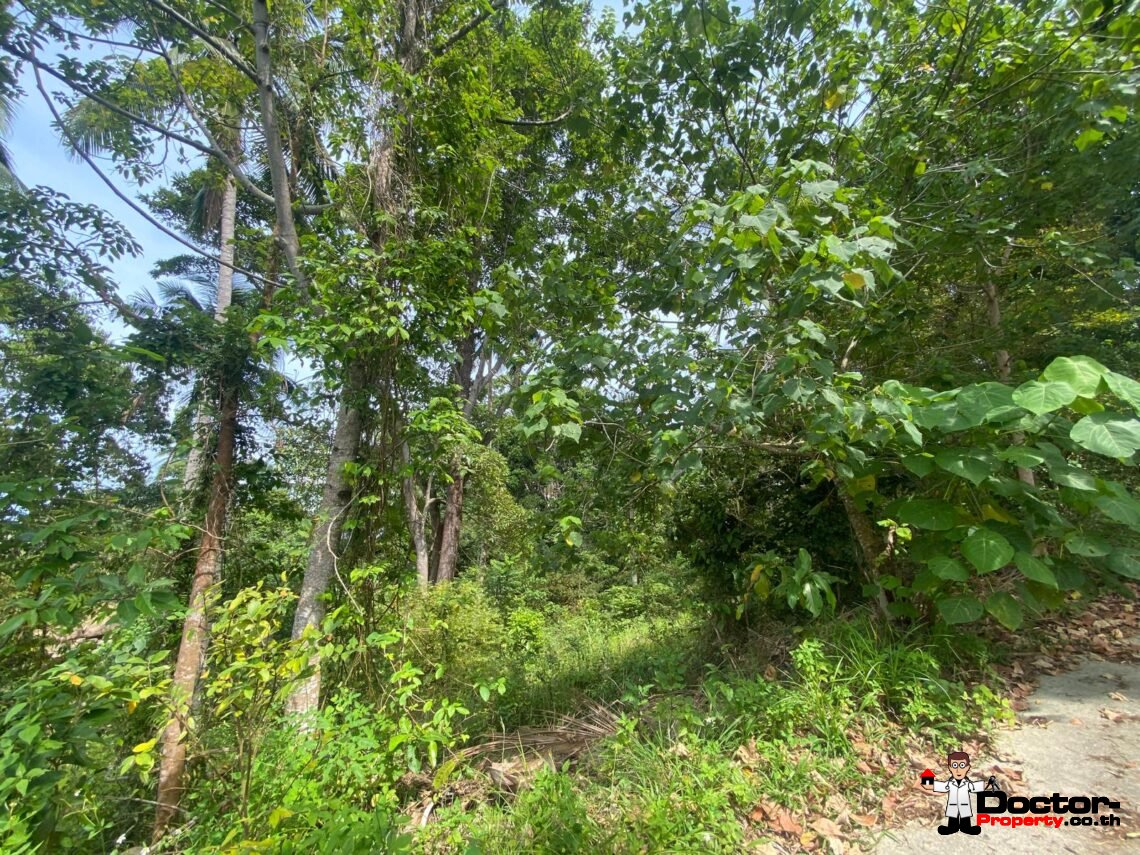 Land 3,636 sqm in Chaweng Noi, Koh Samui – For Sale